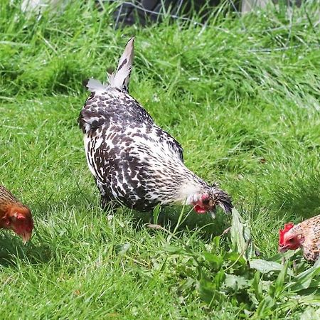 Gite A La Ferme Questembert 외부 사진