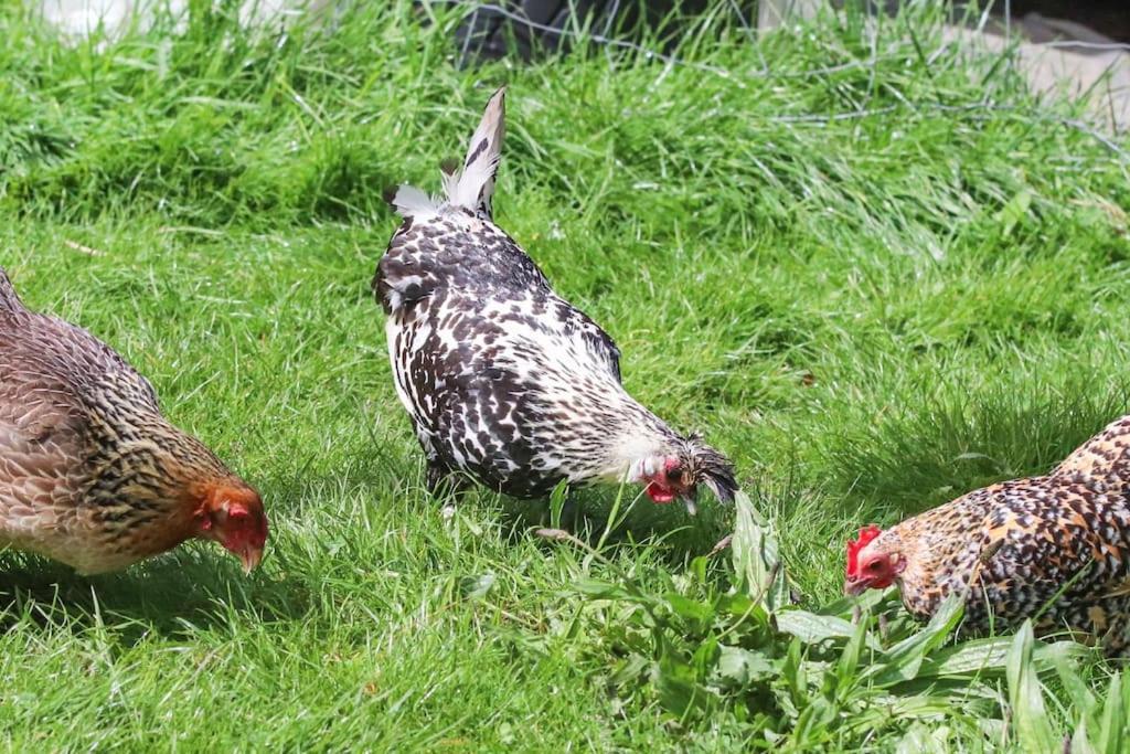 Gite A La Ferme Questembert 외부 사진